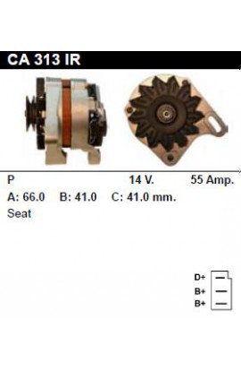 CA313