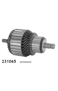 CG231065