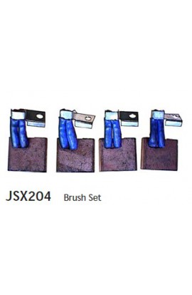 CGJSX204