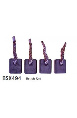 CGBSX494